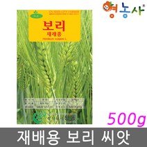 새싹 보리씨앗 500g, 1개