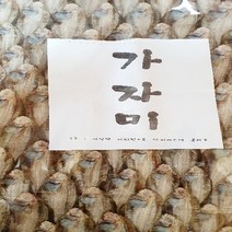 죽도시장 청하건어물 완전건조한 국산 가자미한판 1KG 55미~60미