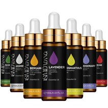가습기 습식가습기 소형가습기 USB가습기 퓨어 플랜트 에센셜 오일 10ml 민트 라벤더 티 트리 로즈 바닐라 샌달우드 재스민 네이처, [01] 10ml, [25] Basil