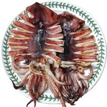 동해 반건조오징어 피데기 10마리 반건오징어 건오징어, 소소 5마리 (400g 내외)