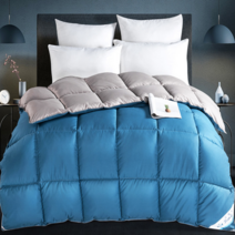 구스 오리털 다운 이불 북극 이불 95 화이트 구스 따뜻하고 두꺼운 겨울 이불 8 덕 이불 더블 봄 가을 이불 싱글 이불 코어, 150x200/2.5kg/다운 봄 가을 이불, 블루+그레이 항균·항진드기