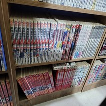 (중고만화책) 와일드리거1-10권 완결 / 세트판매