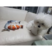 반려동물 움직이는 생선 춤추는 물고기 강아지 고양이 장난감, 붕어