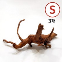 브랜치우드 미니 S급 3개