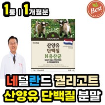 네덜란드 퀄리고트 인증 모유유산균 함유 고단백 산양유 단백질 분말 스틱 성인 어른 분유 프로틴 보충제 파우더 가루 PORTEIN 남자 여자 남성 여성 고단백 맛있는 근력 운동후