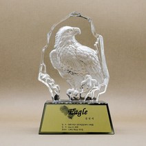 이글패 크리스탈 홀인원 골프 기념패 싱글패 트로피 CS-023, 투명