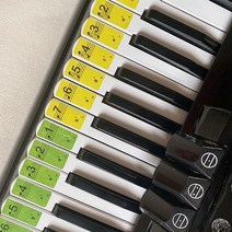 아코디언 미니 파일 악기 어린이 가방 8베이스 손풍금 초보 연주자 키보드 스티커 번호 매기기 악보 및 직원 자 자 39 소개 손상없이 청소하기 쉬운, 컬러 블록