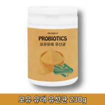 잦은방귀 장에 좋은 음식 배에가스차는이유 프로 바이오 틱스 모유유래 생 유산균