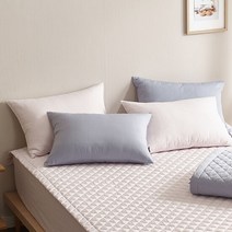 [세사온라인] 컴팩트 알러지케어 베개커버 2장세트 50X70