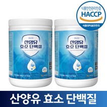 식약처 HACCP 인증 산양유 발효 효소 단백질 분말 가루 프로틴 파우더, 2개, 350g