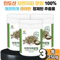 대용량 순수 퓨어 차전자피 100% 분말 가루 파우더 물에 타먹는 마시는 실리엄 허스크 보충제 보조제 포만감 먹는법 추천 자연 원료 섬유질 질경이 질겅이 씨 씨앗 3봉 온 가족