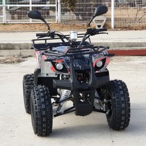 전후진가능 레오 ATV 125cc/사륜바이크/4발오토바이, 혼합