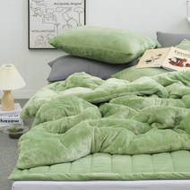 플로라 뮬리 5mm 극세사 차렵이불 베개세트 Q