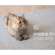 방수 러그 먼지없는 미끄럼방지 털안달라붙는 카페트 반려동물 강아지 고양이 애기매트 놀이터 쓱 닦으면 돼요 헬씨나라