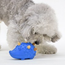 [페슬러] 네추라너리쉬 고슴도치 덴탈트릿 장난감 + 트릿트릭 리필 8p 증정 (랜덤), 단품