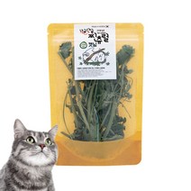 냥글댕글 찐츄럴 고양이 자연건조 캣닢, 냥글댕글 자연건조 캣닢 X 10개 (50%할인)