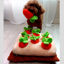 펫홀릭 당근밭노즈워크 노즈워크장난감 강아지간식장난감 강아지노즈워크 당근밭노즈워크대형 애견당근밭노즈워크 당근밭노즈워크삑삑이 당근밭노즈워크중형 당근밭 노즈워크 강아지 당근, 본품 (삑당근 2개 + 일반당근 6개)