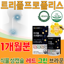 식약처 인증 씹어 먹는 식물성 츄어블 캡슐 프로 플리스 플러스 추출 물 입속 구강내 향균과 항산화 작용 레드 그린 브라운 비타민 & 미네랄 플라보노이드 17mg 민트향 파느곳 추천, 1