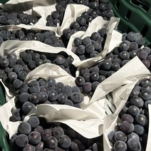 알아주는 경산 머루 포도 2kg내외 (실중량) / 산지에서 바로 보내드려요, 1개