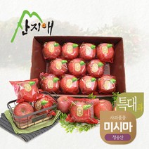 산지애 씻어나온 꿀사과 4kg 1box (특대과) 청송산 미시마 당도선별