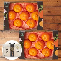 제주 레드향 선물세트, 2.6kg 6-9과 1+1