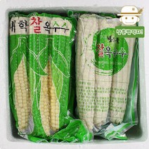 젊은 농부 송창우님의 무주 대학 찰옥수수 21개(7팩), 단품