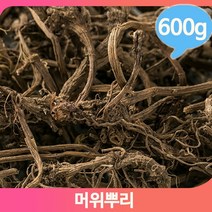 담금주 약주 머위 600g 뿌리 영양 약초 쌉싸름 건강
