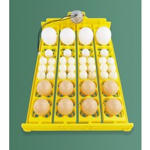 병아리부화기 미니 계란 인큐베이터 104 메추라기 계란 인큐베이터 터너 자동 회전 트레이 가금류 장비 닭, 03 AC220V
