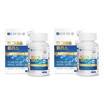 종근당 마그네슘 플러스 1000mg x 90정 4중복합 기능성, 2개