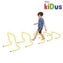 키더스 미니허들 50cm 학교체육, 1개
