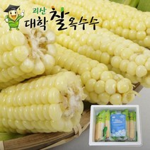 중독되는 맛 괴산대학찰옥수수/냉동/30개/무선별/못난이/중품, 30개/괴산대학찰옥수수/생물/냉동/껍질벗김