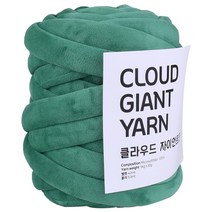 마마니트 10+1 클라우드 벨벳 자이언트얀 500g 뜨개실, 벨벳500g 215 그린