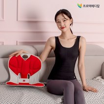바른자세 지킴이 펠비신 체어 / 자세교정의자 좌식 보조의자 방석 등받이 슬림 체형, 그레이(자석없음)