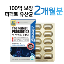 프로바이오틱스 100억 알약 유산균 유해균 억제 유산균 증식 프리바이오틱스 장 건강 도움 포스트바이오틱스 하루 1알 알약 임산부 온가족 유산균 다니스코 5세대 4세대, 2개월분, 510mg x 60캡슐 (하루 1캡슐)