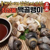 (최상품) 동해안 포항 활 백골뱅이 백고동 생물 소 중 대 대형 특대 소자 중자 대자 대짜 생물소자 백골뱅이대짜 백골뱅이생물 생물백고동 활백고동 동해백골뱅이 1kg, (1) 중 (30~35개) /1kg