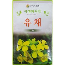유채 야생화씨앗/9월초파종/다농/가람종묘사