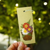 체크스토리 압화책갈피 만들기 컬러색지 1인 5인 락스퍼+풍선덩쿨(1인세트), 1개