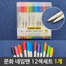 문화 넥스프로네임펜세트 네임펜12색세트 1개, 없음