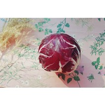 라디치오 (Radicchio) 1알