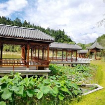 실외정자 원두막 평상 오두막 실외 고대 문화 복도 전망대 안뜰 풍경 골동품 파빌리온 포도 랙 단단한 나무 수지 타일 프레임, 파인애플 그리드 프롬나드