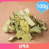 전통차 말린 삼백초 약초 100g 삼계탕 영양 비누 건강