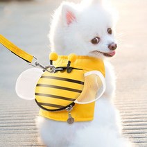 인기 있는 강아지꿀벌가방 인기 순위 TOP50