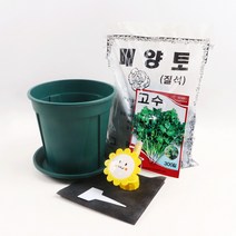 미미네가든 초보 고수 키우기 6종 세트, 단품