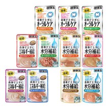 아이시아 건강캔파우치 40g x 12개 고양이 간식, 1개, 수분보충 닭가슴살