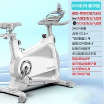 튼튼한 스피닝 자전거 실내 사이클 유산소 헬스 운동기구 홈트 좌식 바이크, 럭셔리 화이트
