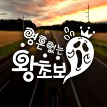 [천삼백케이] [제제데코] 영혼없는 왕초보 자동차스티커 초보운전 반사시트지, 소재:반사