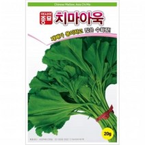 아시아종묘 아욱씨앗종자 치마아욱(20g)