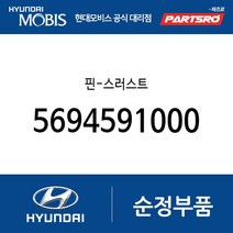 핀-스러스트 (5694591000) 글로벌900 에어로 시티 뉴 슈퍼 에어로 시티 슈퍼 에어로 시티 특장