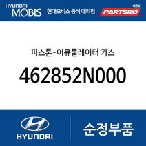 피스톤-어큐물레이터 가스 (462852N000) 아반떼N 벨로스터N 쏘나타 DN8 코나N 더뉴 싼타페