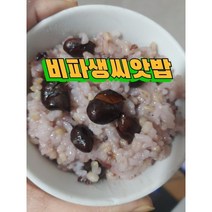 완도산 비파생씨앗 300G 밥에넣어드시면좋은 비파씨앗, 1개